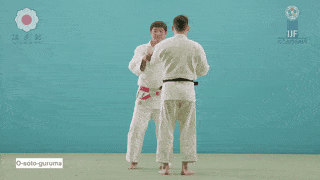 GIF de Roda Externa Maior
