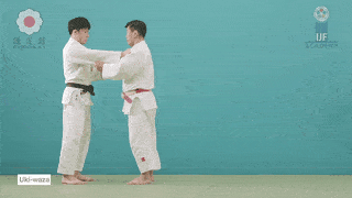 GIF de Tecnica Flutuante