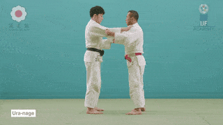 GIF de Projecao Traseira