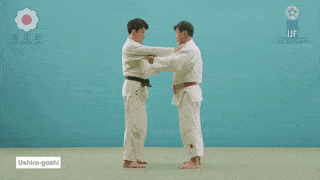 GIF de Projecao Traseira De Quadril