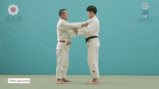 GIF de Roda Lateral