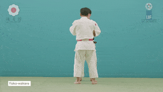 GIF de Separacao Lateral