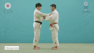 GIF de Roda De Joelho