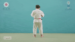 GIF de Grande Quadril
