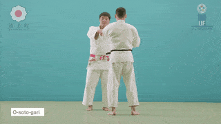 GIF de Grande Ceifada Externa