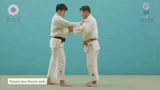 GIF de Arremesso De Tornozelo Com Apoio, Elevacao E Puxada