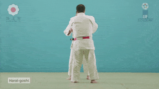 GIF de Quadril Varrido