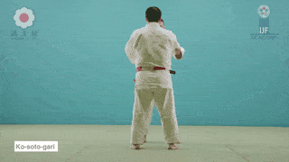 GIF de Pequena Ceifa Externa