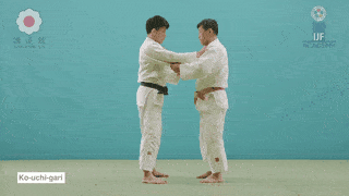 GIF de Pequena Ceifa Interna