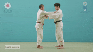 GIF de Roda De Quadril