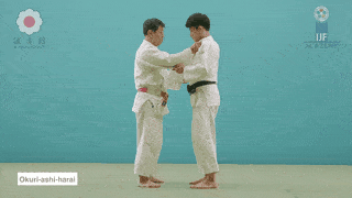 GIF de Acompanhando A Varrida De Tornozelo