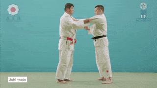 GIF de Projecao Interna Da Coxa