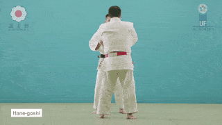 GIF de Quadril De Mola