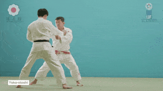 GIF de Queda Lateral