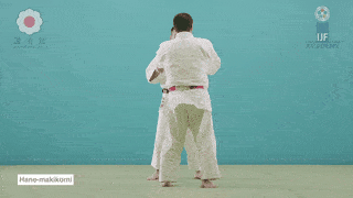 GIF de Envolvimento Com Impulso