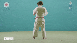 GIF de Roda Maior