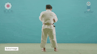 GIF de Arremesso De Colher