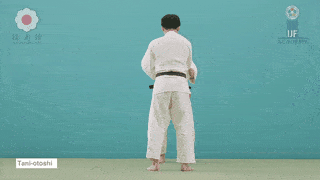 GIF de Queda Do Vale
