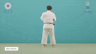 GIF de Queda Flutuante.