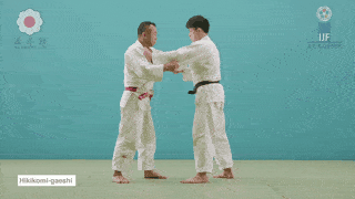 GIF de Reversao Puxando Para Dentro