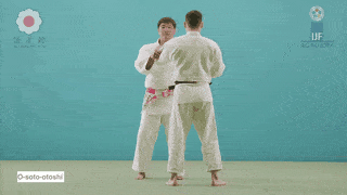 GIF de Grande Queda Externa