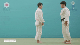 GIF de Reversao Do Fardo De Arroz