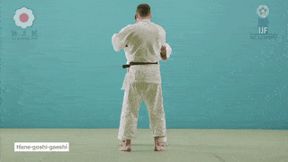 GIF de Reversao Da Anca Com Impulso
