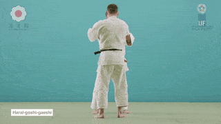 GIF de Reversao De Quadril Com Varredura