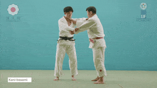 GIF de Tesoura De Garra De Caranguejo