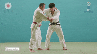 GIF de Enredamento De Uma Perna
