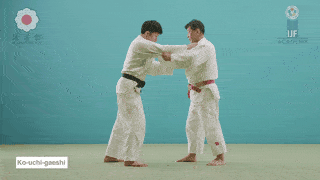 GIF de Contra Ataque Com Pequena Ceifa Interna