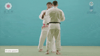 GIF de Grande Reversao Externa