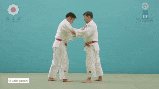 GIF de Grande Reversao Interna.