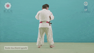 GIF de Puxada Na Manga Com Elevacao E Quadril
