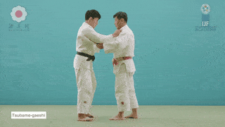 GIF de Contra Ataque Da Andorinha