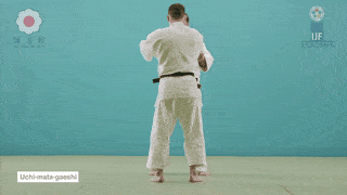 GIF de Contra Ataque Com Projecao Interna Da Coxa