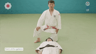 GIF de Imobilizacao Superior Dos Quatro Apoios
