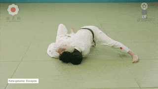 GIF de Escapes Da Imobilizacao De Ombro