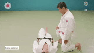 GIF de Chave De Ombro