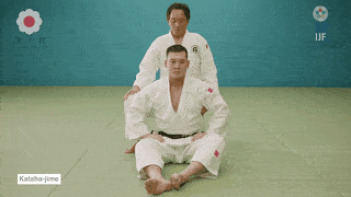 GIF de Estrangulamento De Uma Asa
