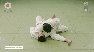 GIF de Escapes Da Imobilizacao Lateral