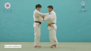 GIF de Envolvimento Interno Menor