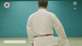 GIF de Imobilizacao Modificada Superior De Quatro Apoios