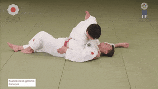 GIF de Escapes Modificados Da Imobilizacao Lateral