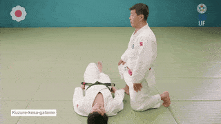 GIF de Chave De Cachecol Modificada