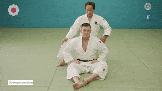 GIF de Estrangulamento De Roda Na Manga
