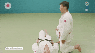 GIF de Imobilizacao Vertical Por Quatro Pontos