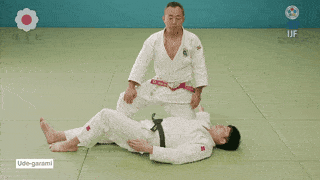 GIF de Chave De Braco Enredada