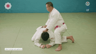GIF de Chave De Braco Com A Perna