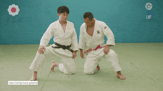 GIF de Chave De Braco Com O Estomago